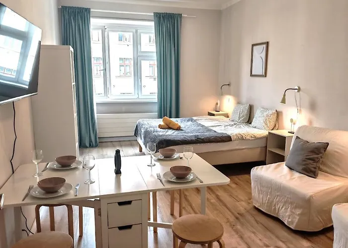 Flat In Zizkov -303- Prag